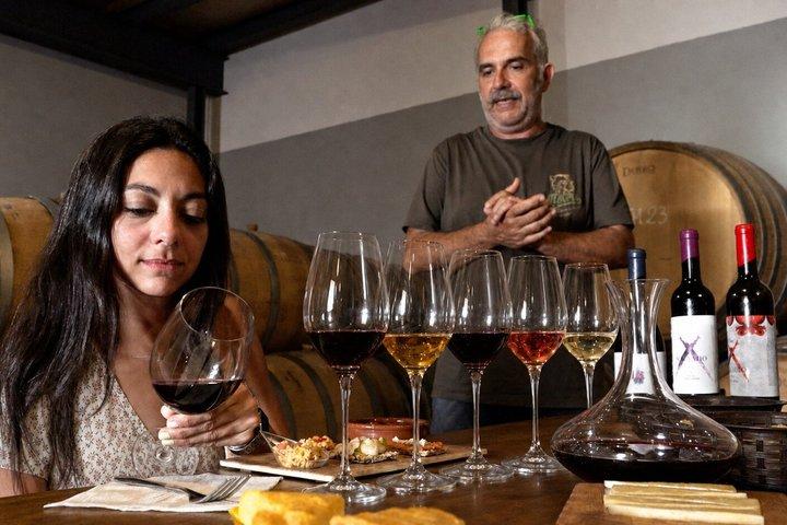 Malaga Organic Vineyard & Winery : 6 Vinhos, 2 Óleos e Transferência