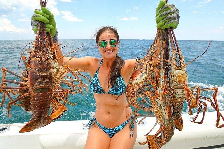 Lobster Hunt Excursion in South Florida