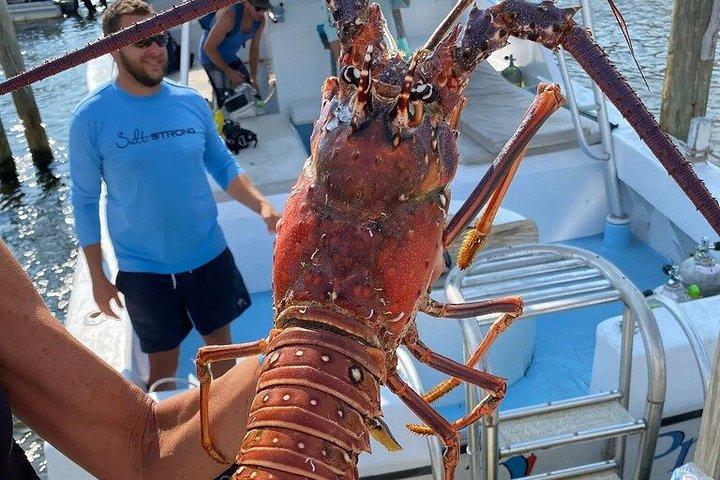 Lobster Hunt Excursion in South Florida