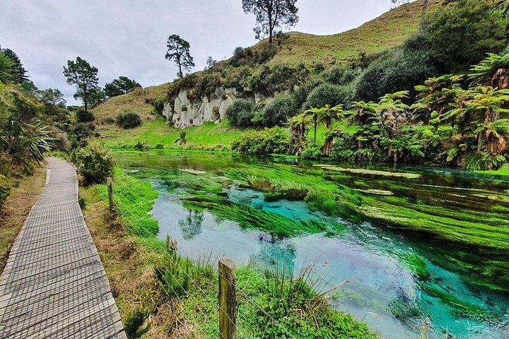 Magical Hobbiton Movie Set & Blue Springs - Small Group Tour