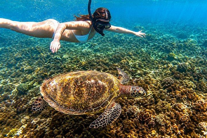 Blue Lagoon Snorkeling with Private Boat, Guide and Transfer