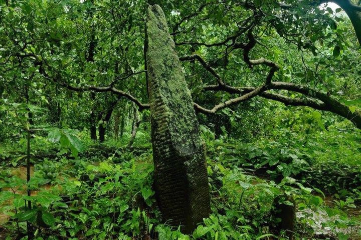 ゴアンヒンターランド体験：南ゴアの洞窟、彫刻、その他