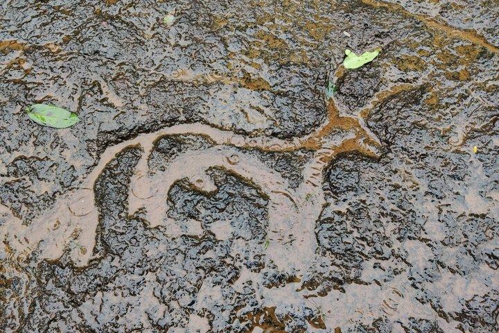 ゴアンヒンターランド体験：南ゴアの洞窟、彫刻、その他