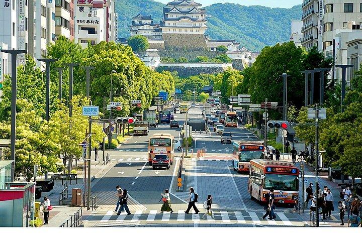 大阪/京都:姫路城、明石海峡大橋 10時間プライベートツアー