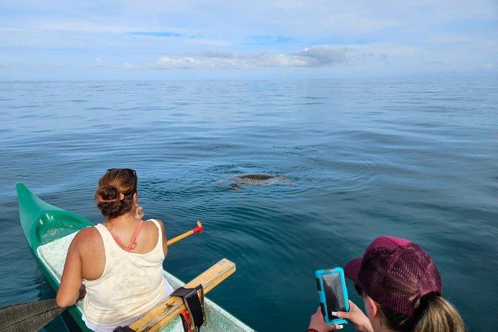 Private North Shore Hawaiian outrigger Canoe and turtle adventure