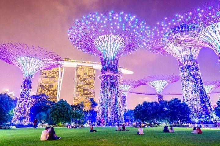 Singapore River Cruise, Night Garden Rhapsody & Spectra w Satay