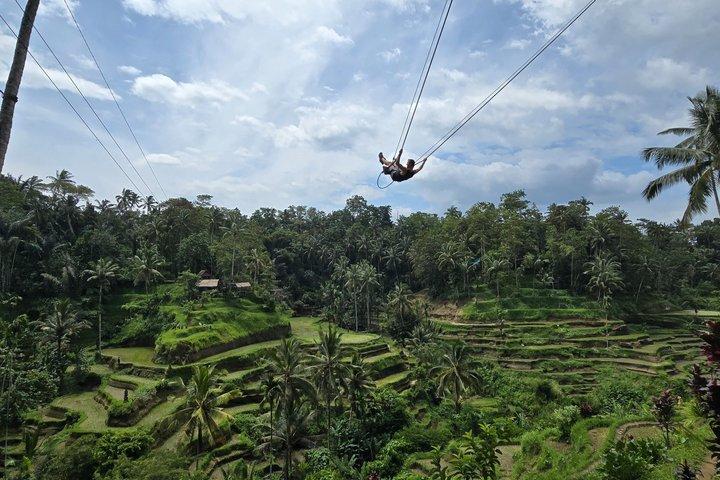 Bali Ubud Attività Tour