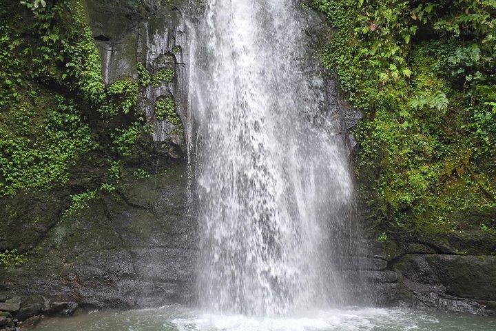 Bali Ubud Attività Tour