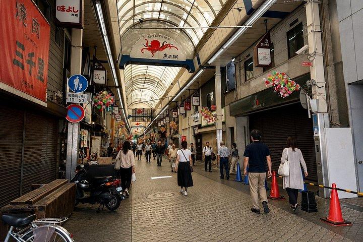 大阪/京都:姫路城、明石海峡大橋 10時間プライベートツアー