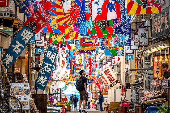 大阪/京都：姫路城、明石海峡大橋 10時間プライベートツアー