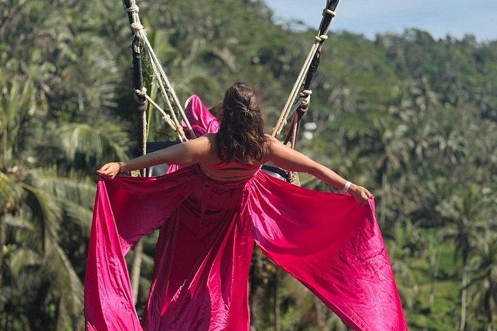 Ubud Private Trip: Bali Swing, Hidden Waterfall & Sacred Temple