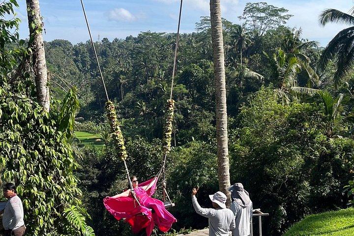 Ubud Private Trip: Bali Swing, Hidden Waterfall & Sacred Temple