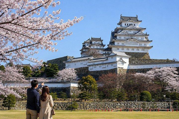 大阪/京都：姫路城、明石海峡大橋 10時間プライベートツアー