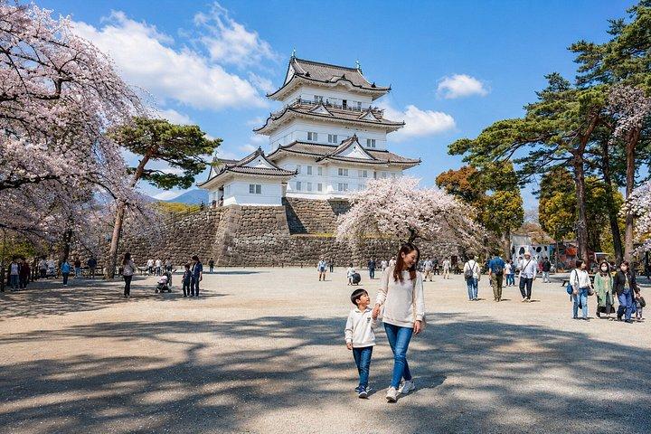 大阪/京都：姫路城、明石海峡大橋 10時間プライベートツアー