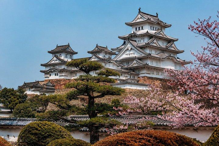 大阪/京都：姫路城、明石海峡大橋 10時間プライベートツアー