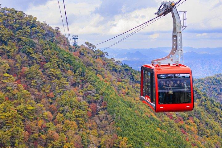 Hojas de otoño en Kobe: crucero en barco y teleférico (desde Kioto)