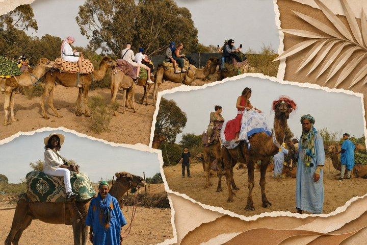Agadir Camel or Horse Riding Experience with Local Scenery