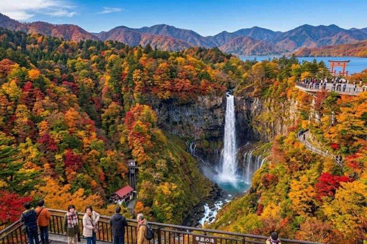 From Tokyo: Nikko Sightseeing Customized Private Tour