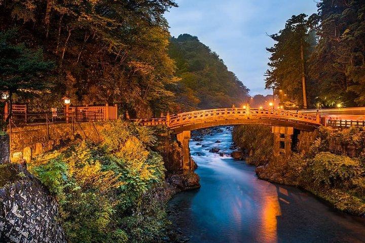 From Tokyo: Nikko Sightseeing Customized Private Tour