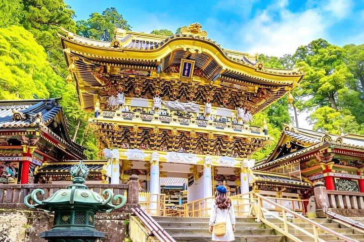 From Tokyo: Nikko Sightseeing Customized Private Tour