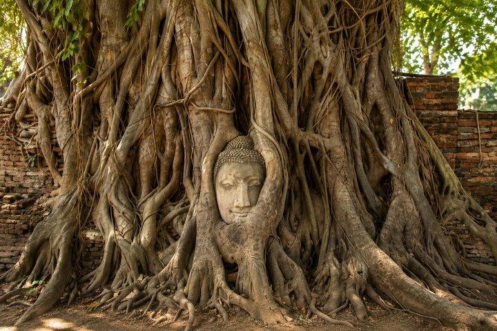 Ayutthaya UNESCO Temples Group Tour with Lunch
