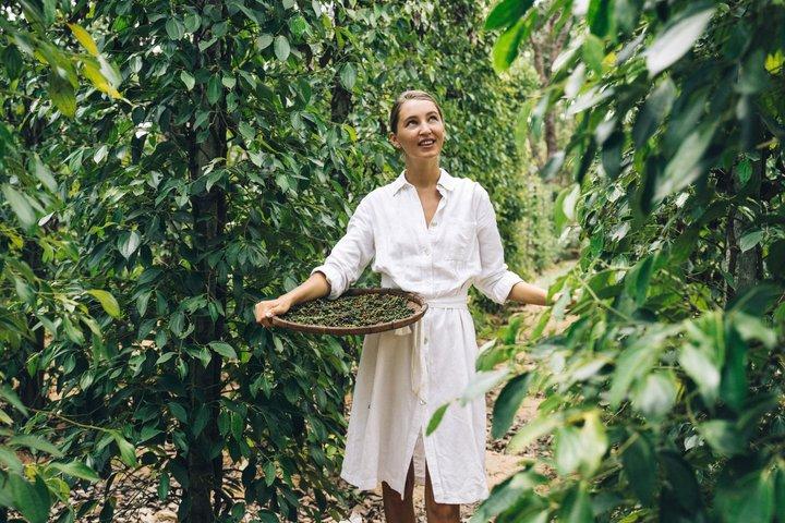 Colombo : tour della grotta di Sigiriya Rock & Dambulla con pranzo in Sri Lanka
