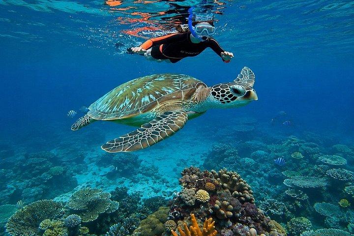 Bali Blue Lagoon Snorkeling e cascata di Tegenungan