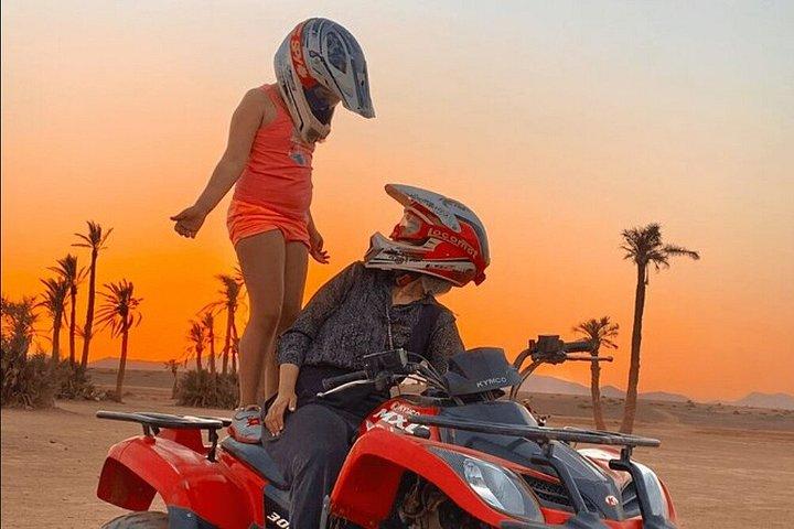 Marrakech : Palmeraie Quad cykel og kamel ridning oplevelse