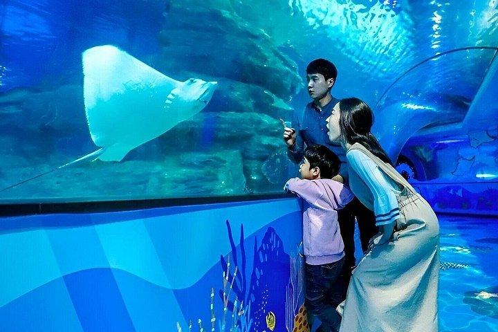 Busan SEA LIFE Aquarium Admission Ticket