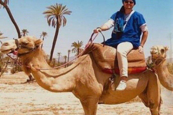 Marrakech : Palmeraie Quad Bike e Camel Ride Experience