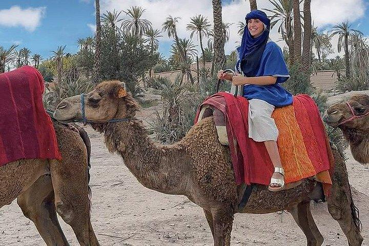 Marrakech : Palmeraie Quad Bike e Camel Ride Experience