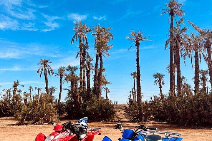 Marrakech : Palmeraie Quad Bike e Camel Ride Experience