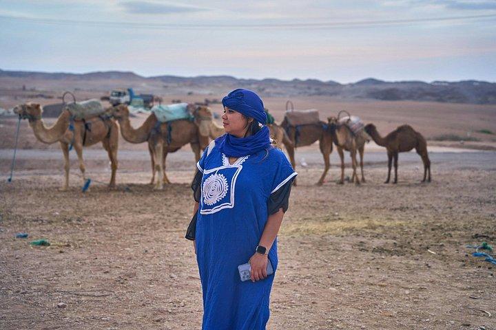 Marrakech : Palmeraie Quad Bike e Camel Ride Experience