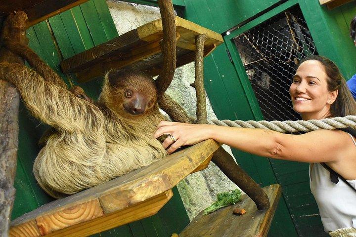 ジャングルアイランド動物との遭遇チケット(一般入場付き)