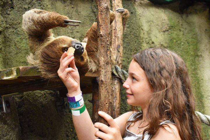 ジャングルアイランド動物との遭遇チケット（一般入場付き）