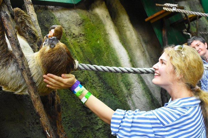 ジャングルアイランド動物との遭遇チケット(一般入場付き)