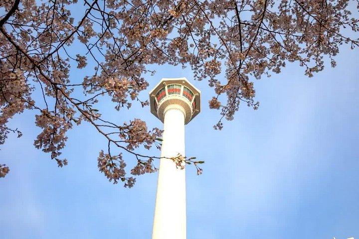 Busan Tower Admission Ticket