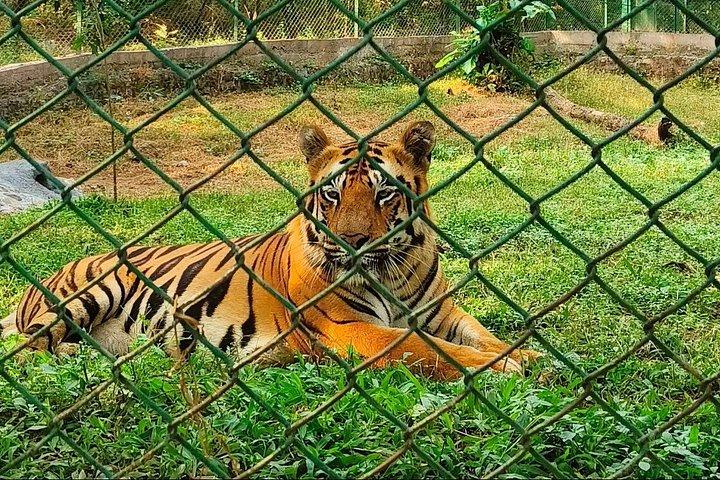 (SGNP)国立公園+カンヘリ洞窟+ライオンサファリ+ジャイン・テンプル