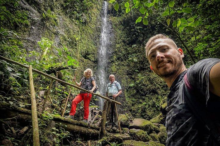 Howler Monkey Experience : 自然、フィランディア、地元の味