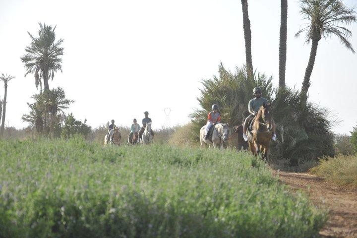 Sunset Hest ridning i Marrakech Palmeraie