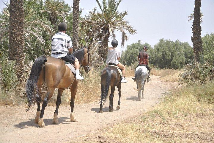 Sunset Hest ridning i Marrakech Palmeraie