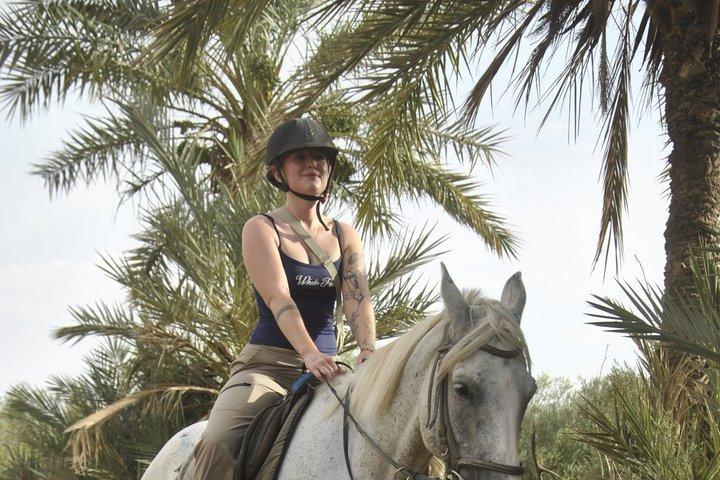 Sunset Hest ridning i Marrakech Palmeraie