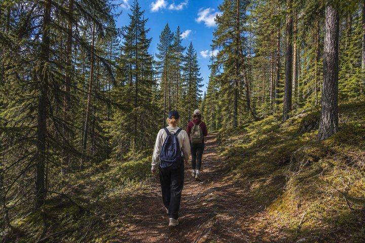 Rovaniemi: Korouoma Canyon Hike and Barbecue Experience