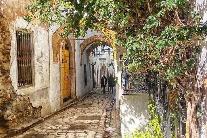 Tunis Carthage et Sidi Bou Said Expérience privée d'une journée