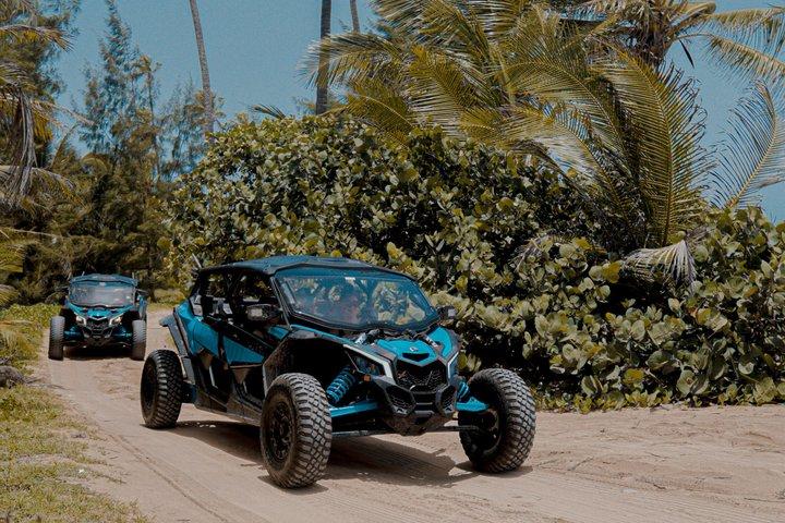 Dirija um UTV Can-Am em um passeio de praia em San Juan Porto Rico