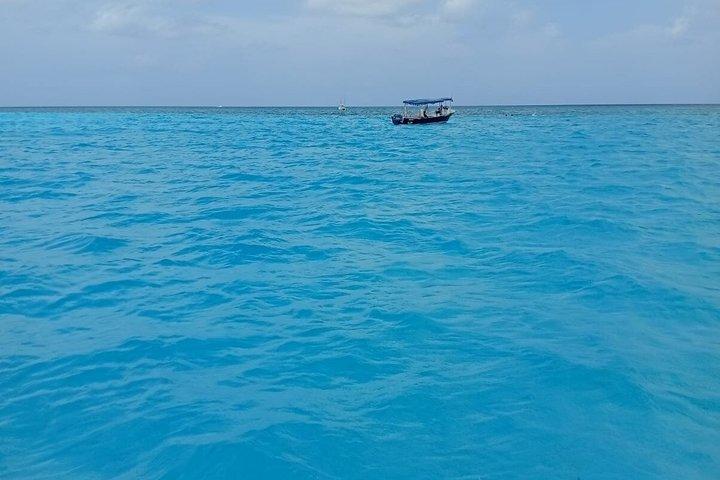 Gemeinsame Schnorcheltour am El Cielo Beach in Cozumel