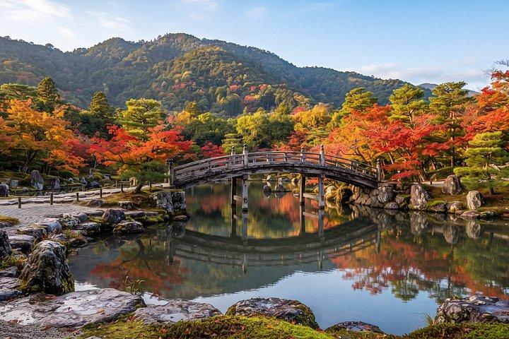 京都プライベートツアー早朝嵐山竹林