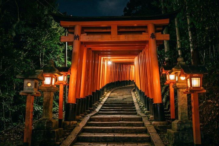 Visita à noite de Fushimi Inari Shrine Lanterns