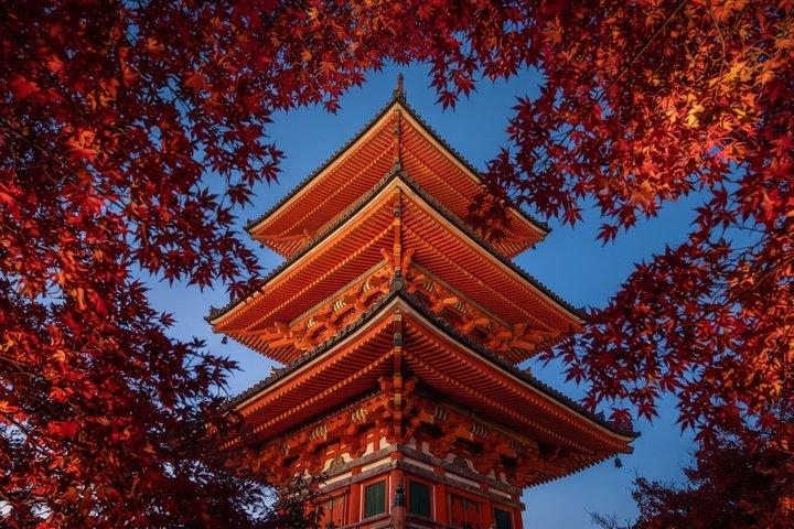 Kyoto Sunset Private Tour from Kiyomizudera to Gion