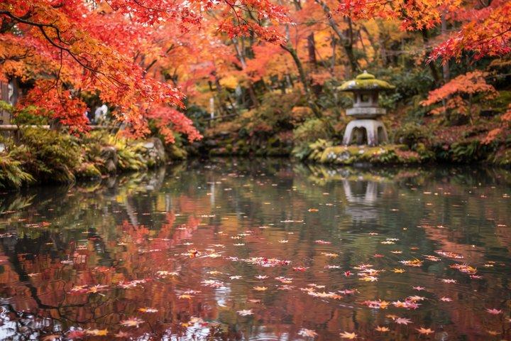 清水寺から祇園まで京都サンセットプライベートツアー